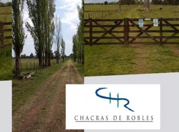 Terreno · 5000m² · Venta de Chacra en Capilla del Señor - 5000 m²