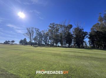 Foto1 · Terreno en Venta Pueblo Mio, Elevado y con Laguna Propia