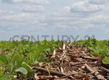 Campo · 490000m² · Venta de Campo de 49 Hectarias. General Belgrano.