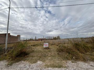 Terreno , Allen · Lote en La Ciudad de Allen Rio Negro