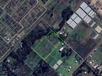 Terreno · 18000m² · Venta Fracción en Abasto. Apto Desarrollo. 18.000 m². Zonificacion C/ru