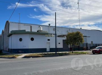 Depósito · 5500m² · En Alquiler Depósito 5500 m² Sobre Lote de 7000 m² - Allen