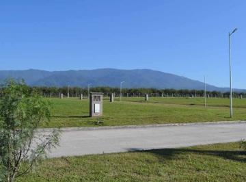 ISN-ISN-2531_2 · Lote. | El Portal del Roble - Villa Carmela