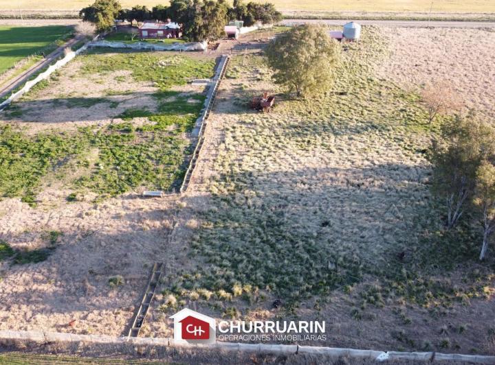 Campo · 20000m²