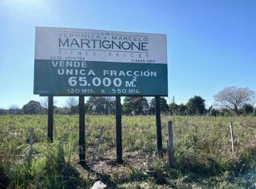 Campo · 65000m² · 1 Ambiente · Única Fracción 65.000 m²