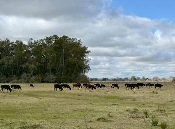 Campo , Florencio Varela · Campo de 140 Hectáreas en Florencio Varela
