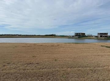 Terreno · 1000m² · Espectacular Lote en Venta en El Barrio Los Puentes