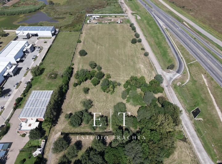 Terreno · 5000m²