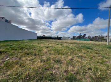 Terreno , Bahía Blanca · Lote Altos del Pinar - H. Abat 1700