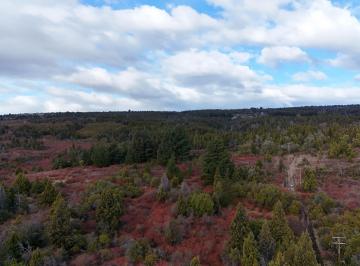 Campo , Trevelín · Venta Campo. 347 Ha con Agua y Electricidad. Trevelin. Ruta 259