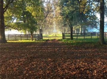 Campo · 7030000m² · Propiedades Rurales - Mixto - General Rodríguez, Gran Bs. As. Oeste
