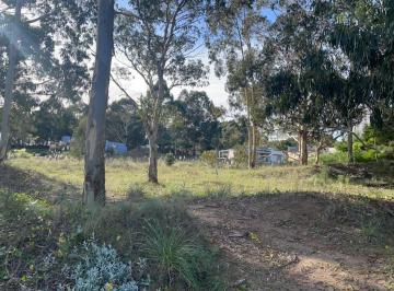 Terreno · 975m² · Hermoso Terreno en Costa Esmeralda. Lote 222 del Barrio Ecuestre.