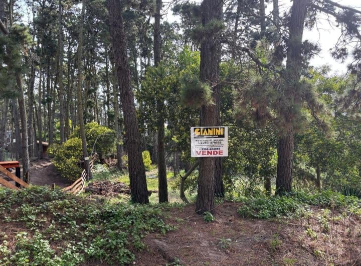 Terreno · 275m²