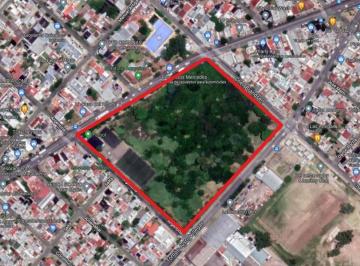 Terreno · 33090m² · Manzana Av Gral. Mosconi - Cnel. Brandsen - Argentina y Villegas