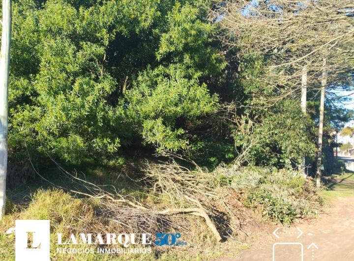 Terreno · 593m²