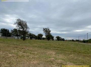Terreno · 47847m² · Terrenos en Venta Próximos Al Aeropuerto