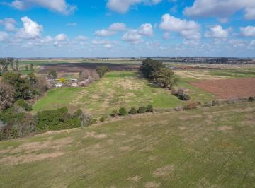Campo · 34000m² · Campo en Venta 3,4 Has - Villa Amelia