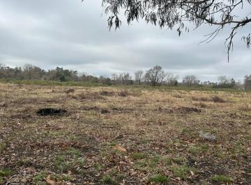Campo , Pilar · 3 Hectáreas a 5 Cuadras Aprox de Ruta 25 - Pasando Barrio Privado Haras del Sol