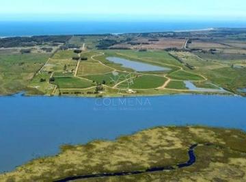 Foto1 · Terreno en Punta Ballena, Laguna de Los Cisnes