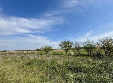 Terreno · 1500m² · Terreno en Venta Los Pinares, Exaltación de La Cruz