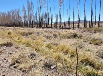 Terreno · 50000m² · Terreno en Venta de 5 Hectáreas en Uspallata, Mendoza.