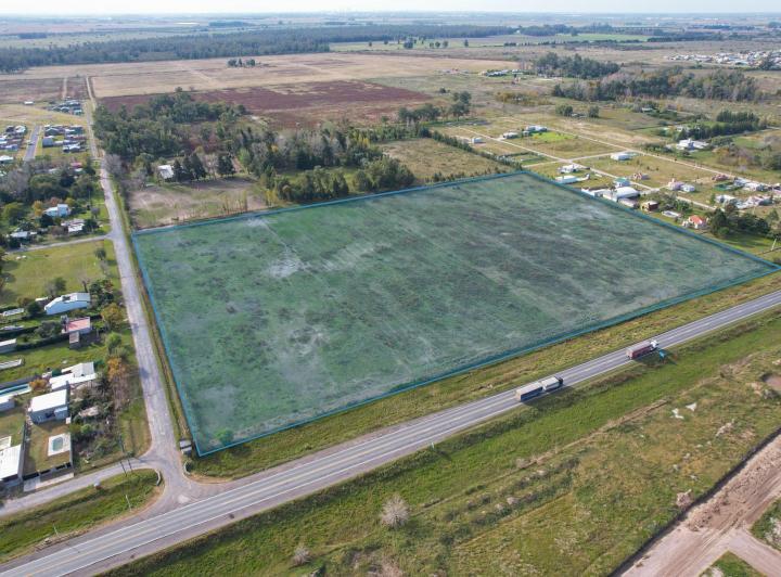 Campo · 58000m²