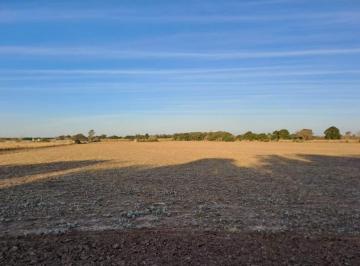 Foto · Campo en El Gateado