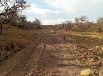 Terreno · 213m² · Venta de Campo Ganadero en Berrotaran - 213 Ha