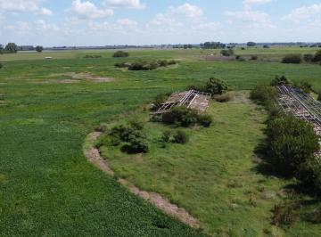 Campo · 32ha · 32has en Venta en Navarro, a 1500 m² de La Ruta 41.