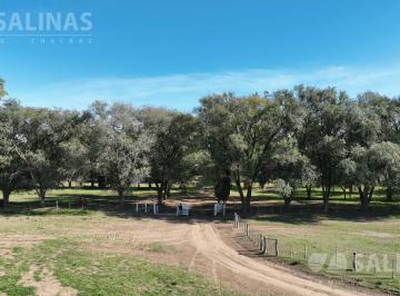 Campo · 37800000ha · Campo Mixto en Alpachiri, La Pampa