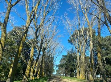 Campo · 4100000ha · Campo en La Ballenera de Gran Escala