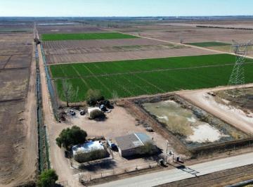 Campo de 6 ambientes, Otro · Finca en El Paramillo, Lavalle. 32ha