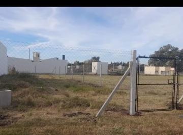 Terreno · 300m² · Terreno - Villa Parque Sicardi