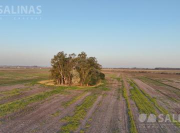 Campo · 160000m² · 16 Ha Chacra Sobre Ruta 193 en Ex. de La Cruz