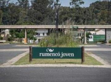 Imagen1 · Venta Lote Rumencó Joven