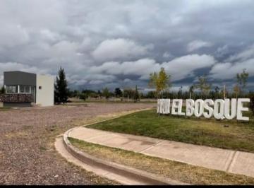 Terreno · 307m² · Lote en El Bosque