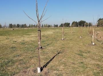 Terreno · 1000m² · Venta Terreno Santa Fe - Lote Country Santomàs - El Cielo.