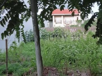 Terreno · 504m² · Lote en Venta en Gonnet