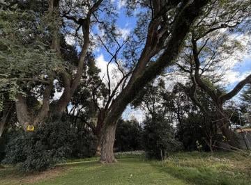 Terreno · 734m² · Lote en Venta en Villa Elisa Barrio Cerrado Escriturado