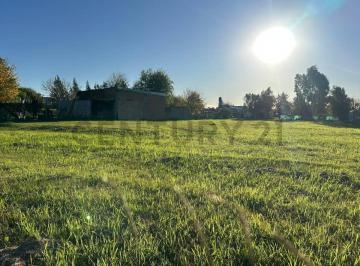 Quinta vacacional · Lote en Venta en Berisso Los Talas, Listo Para Construir