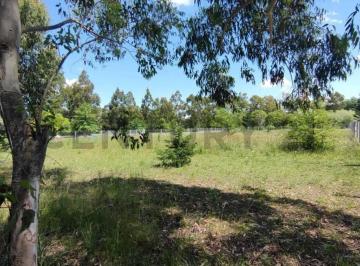 Terreno · 2466m² · Lote Terreno en Venta en Arturo Segui "Los Aromos"