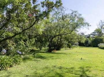 Terreno · 994m² · Lotes en Venta Villa Elisa