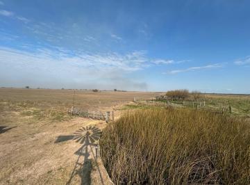 Campo · 1560000ha · Campo en Diaz