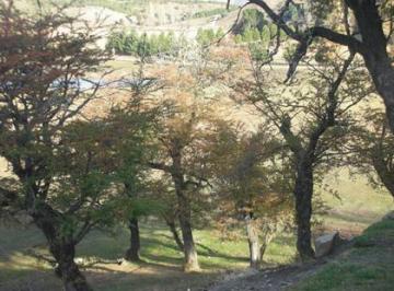 Terreno · 2432m² · Lote en Venta en Estancia Los Ñires, San Martin de Los Andes