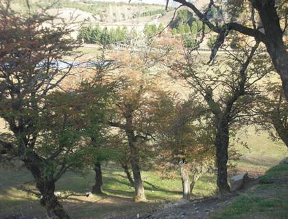 Terreno · 2432m²