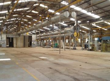 Bodega-Galpón · 29995m² · Nave Industrial de 29.995 m² Cubiertos en Loma Hermosa Tres de Febrero