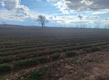 Campo de 2 ambientes, San Carlos · Finca en Venta en San Carlos 24 Ha