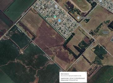 Campo · 1340000m² · Campo en Ruta 226