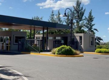 LHP-LHP-3014_2 · Lote Interno de 459 m² en Venta - Las Tipas Nordelta