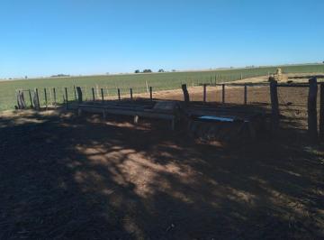 Campo · 2830000m² · Campo en Ingeniero Thompson